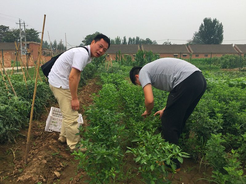 好利來郭總喊您來摘菜啦！綠色無公害，放心！